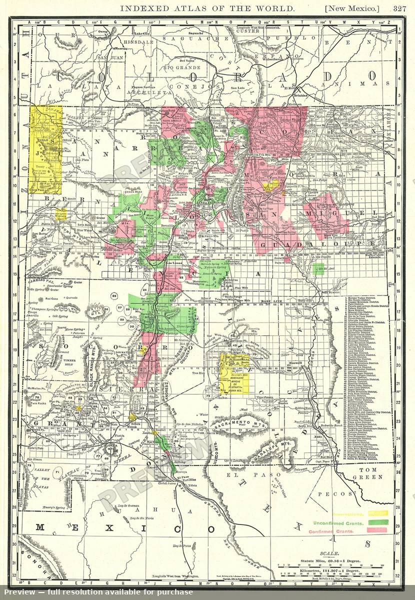 Antique map: New Mexico, 1893