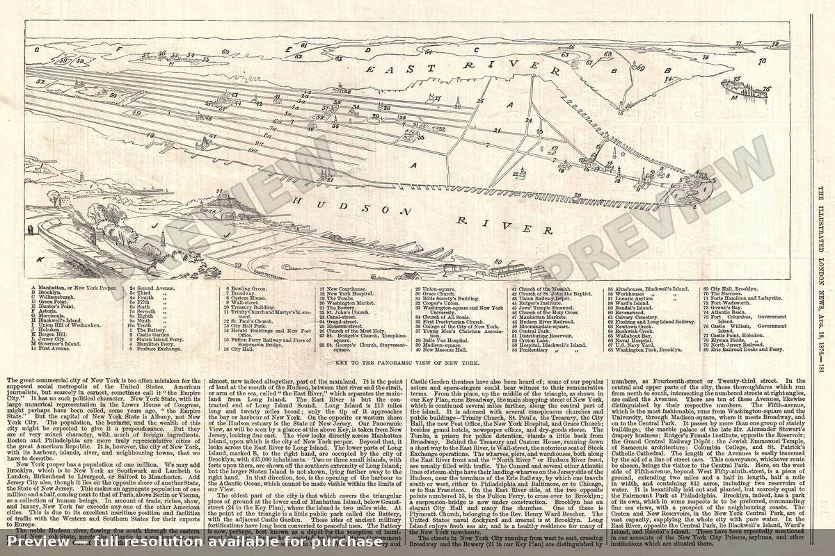 Antique map: New York City View, 1876, 1876