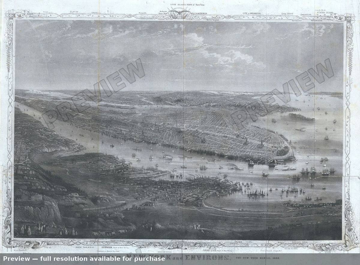 Antique map: New York Environs, 1868