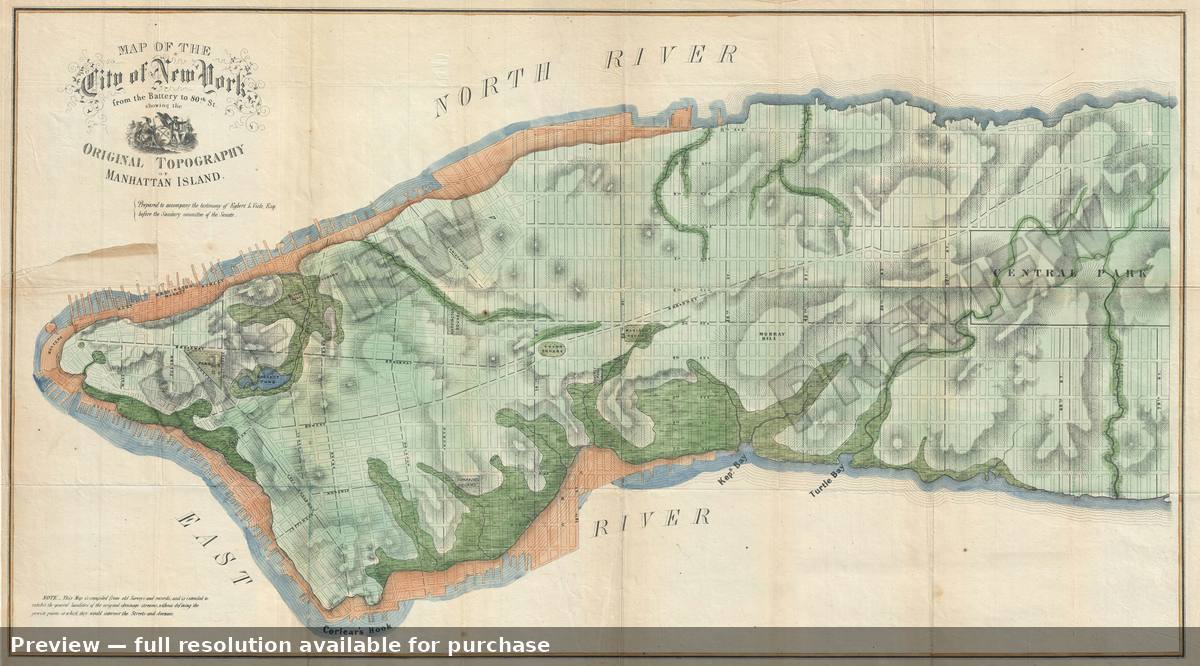 Antique map: New York Original Topography, 1859