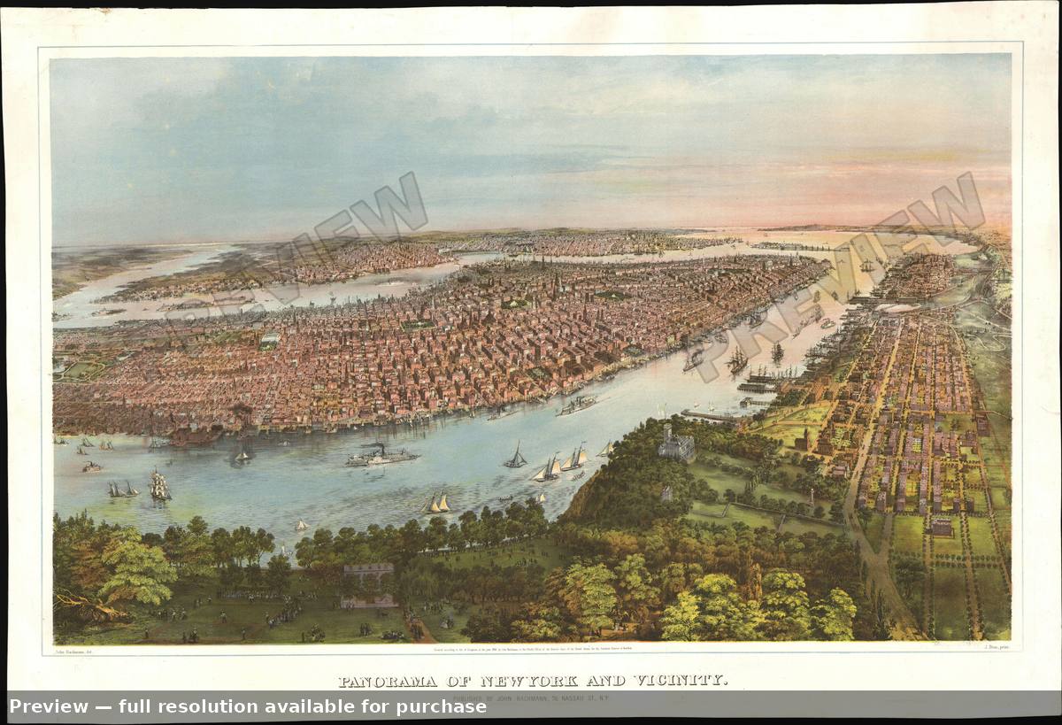 Antique map: New York Panorama, 1866, 1866