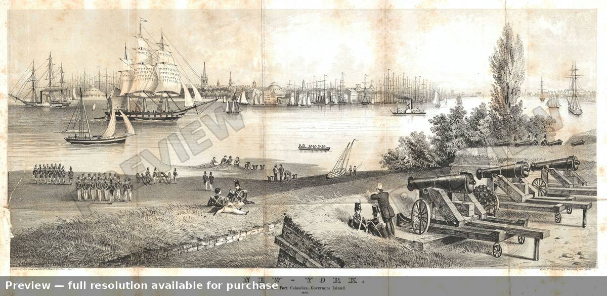 Antique map: New York View, 1860, 1860