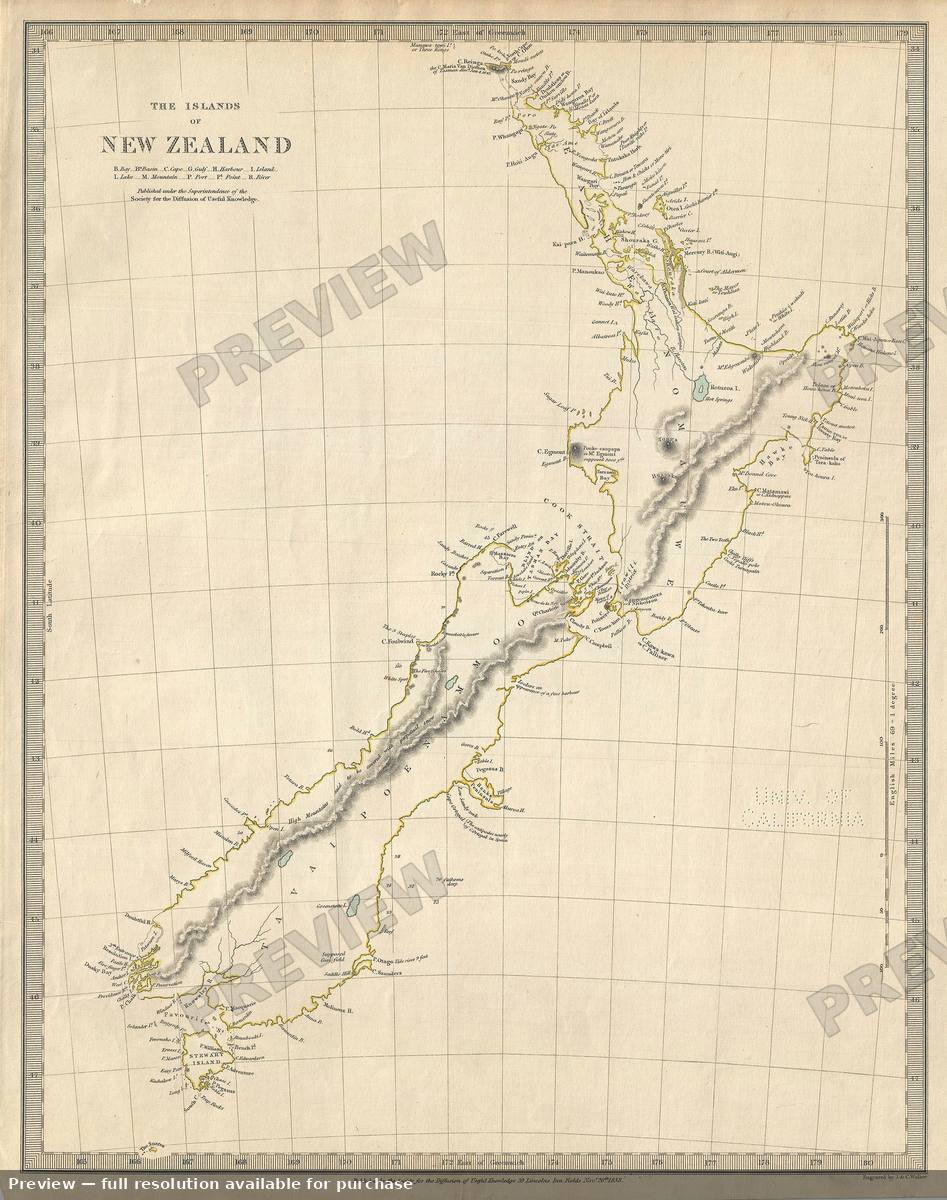 Antique map: New Zealand, 1844