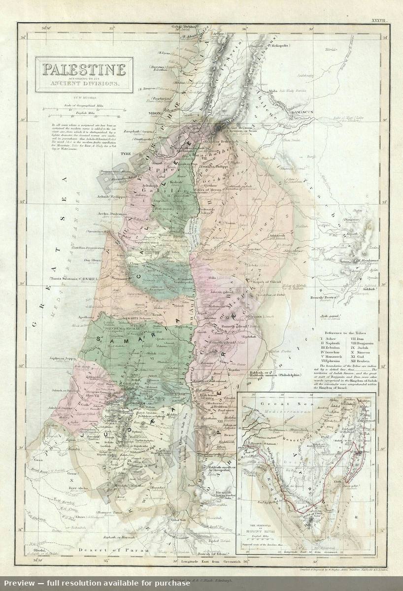 Antique map: Palestine, 1851, 1851