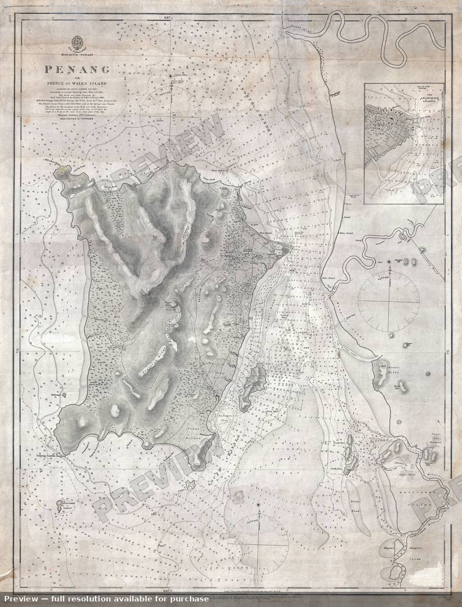 Antique map: Penangor Princeof Wales Island, 1874