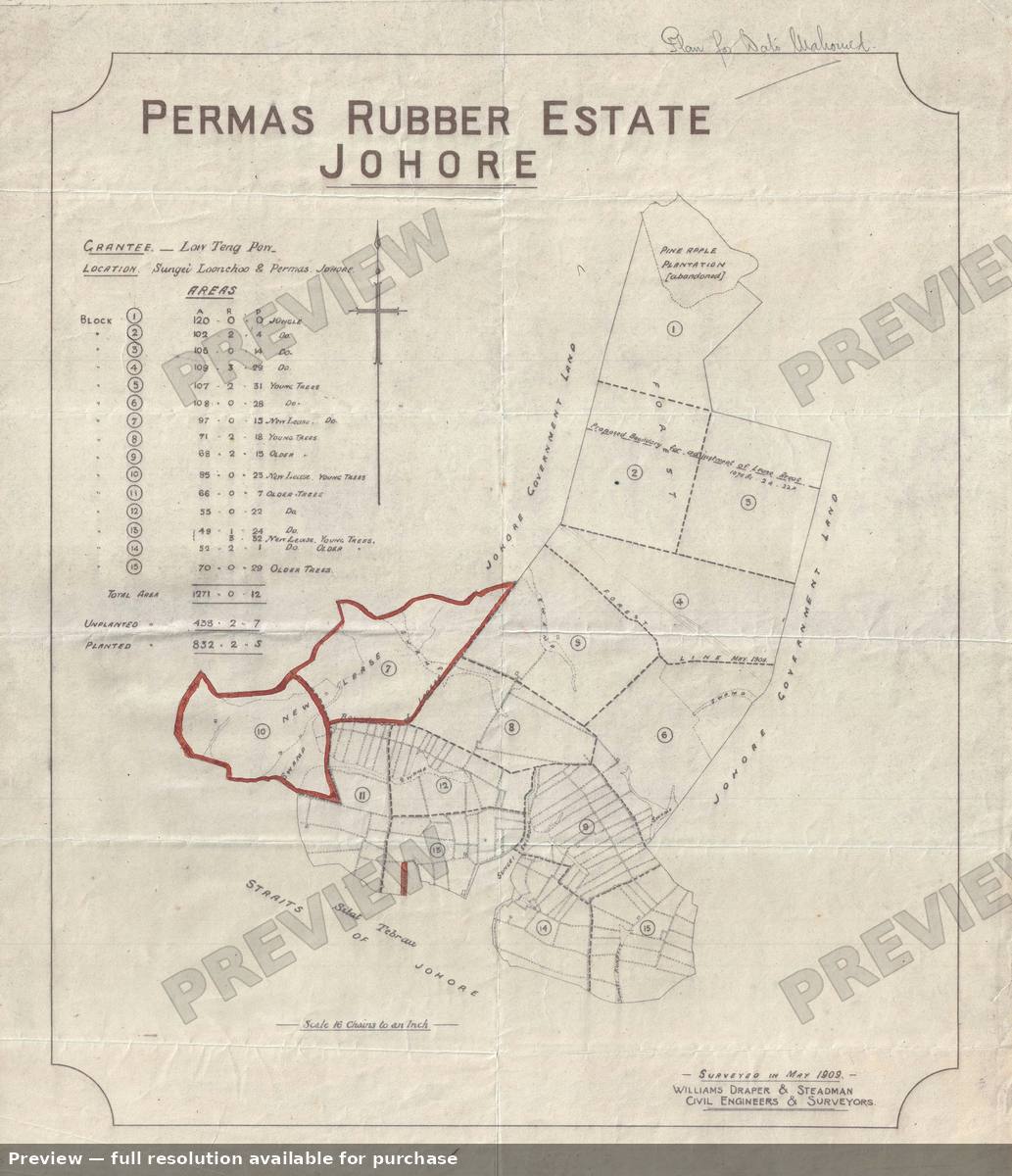 Antique map: Permas Rubber Jahore, 1909, 1909