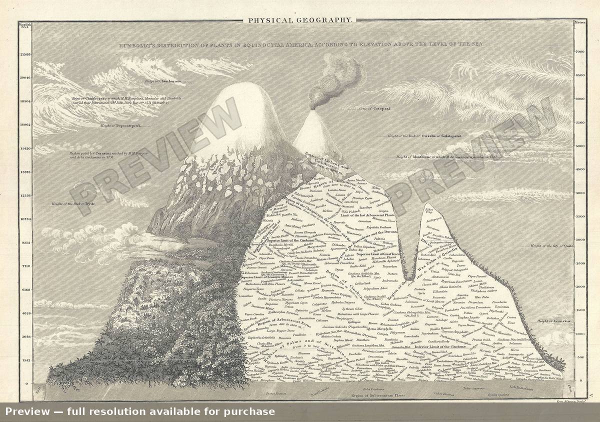 Antique map: Physical Geography Plants, 1844, 1844