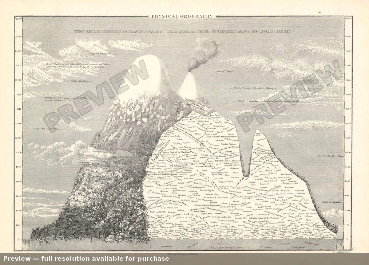 Antique map: Physical Geography Plants, 1853, 1853