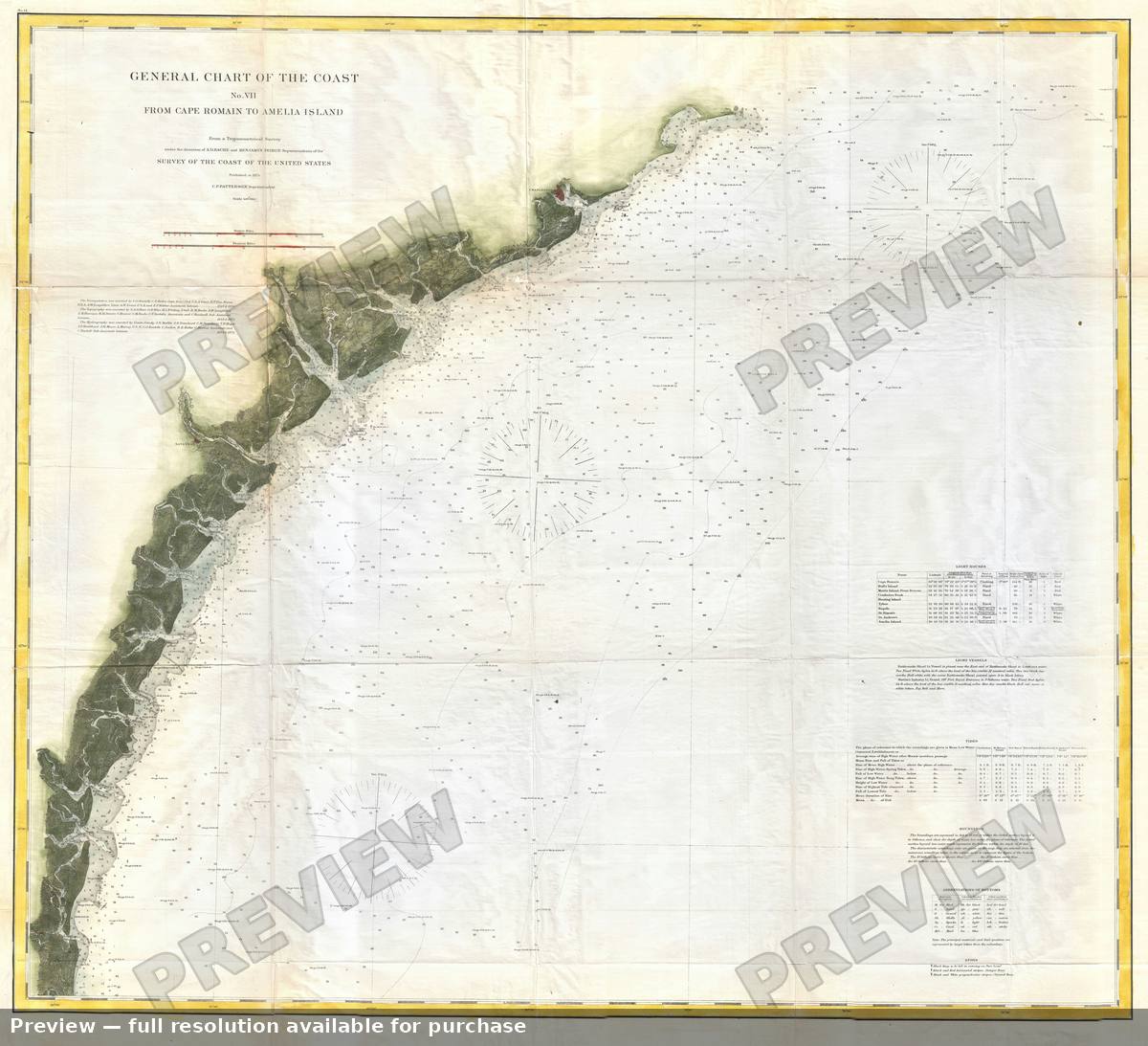 Antique map: Savannah Carleston, 1874, 1874
