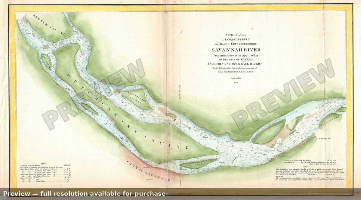 Antique map: Savannah River, 1851, 1851