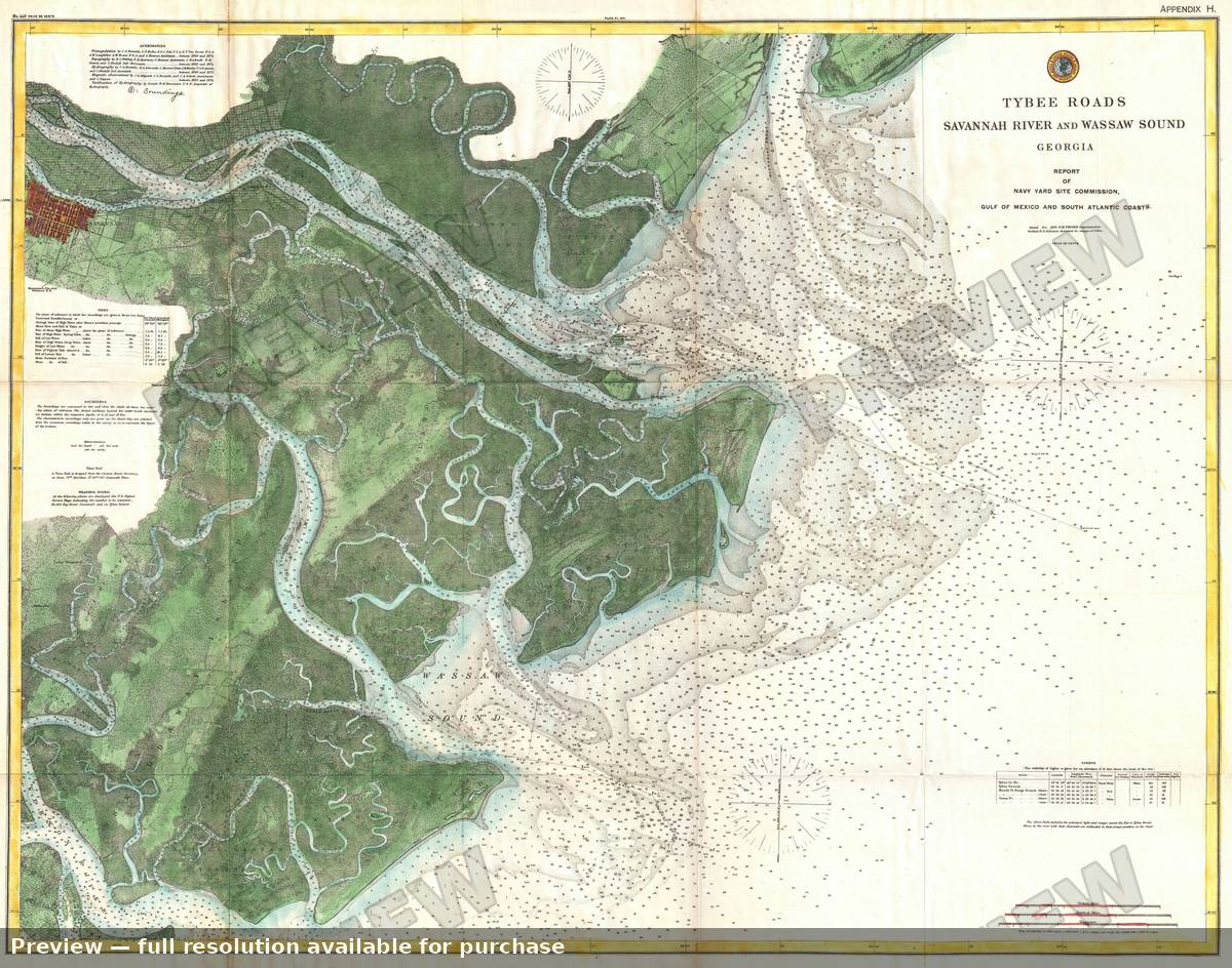 Antique map: Savannah River, 1886, 1886