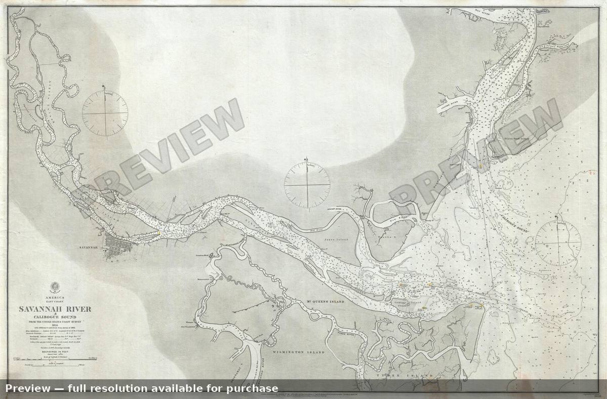 Antique map: Savannah River Calibogue Sound, 1861