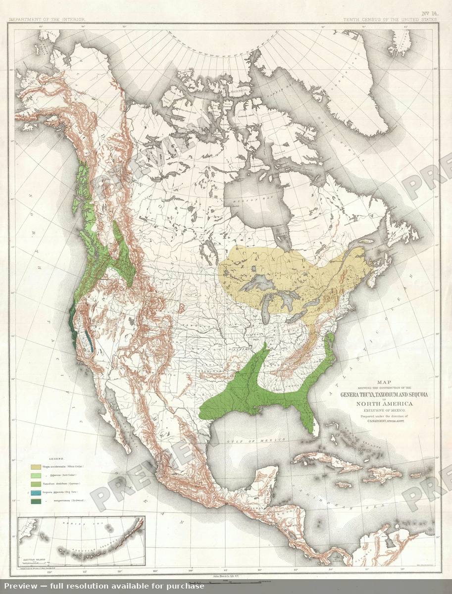 Antique map: Sequoia, 1884
