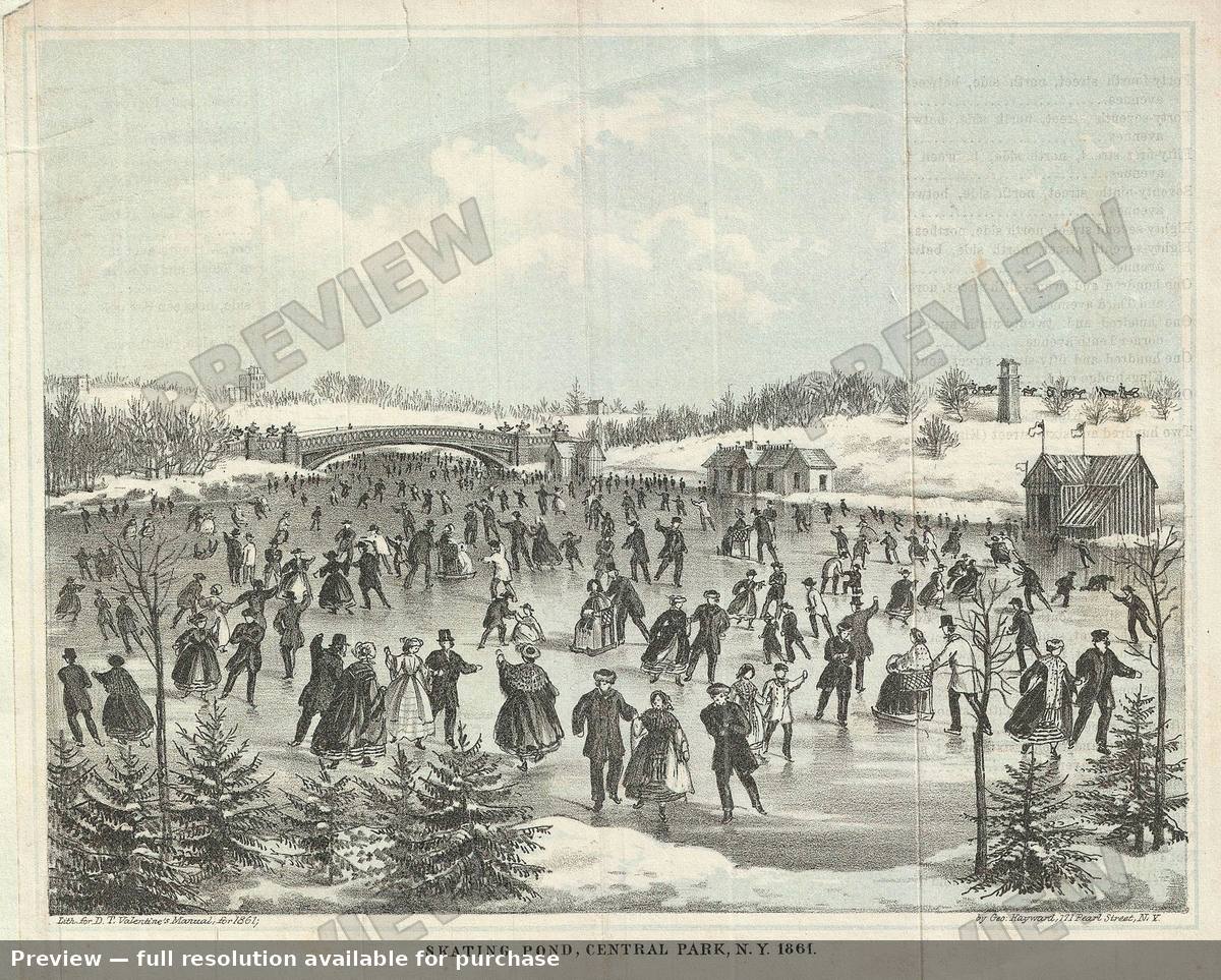 Antique map: Skating Pond, 1861, 1861