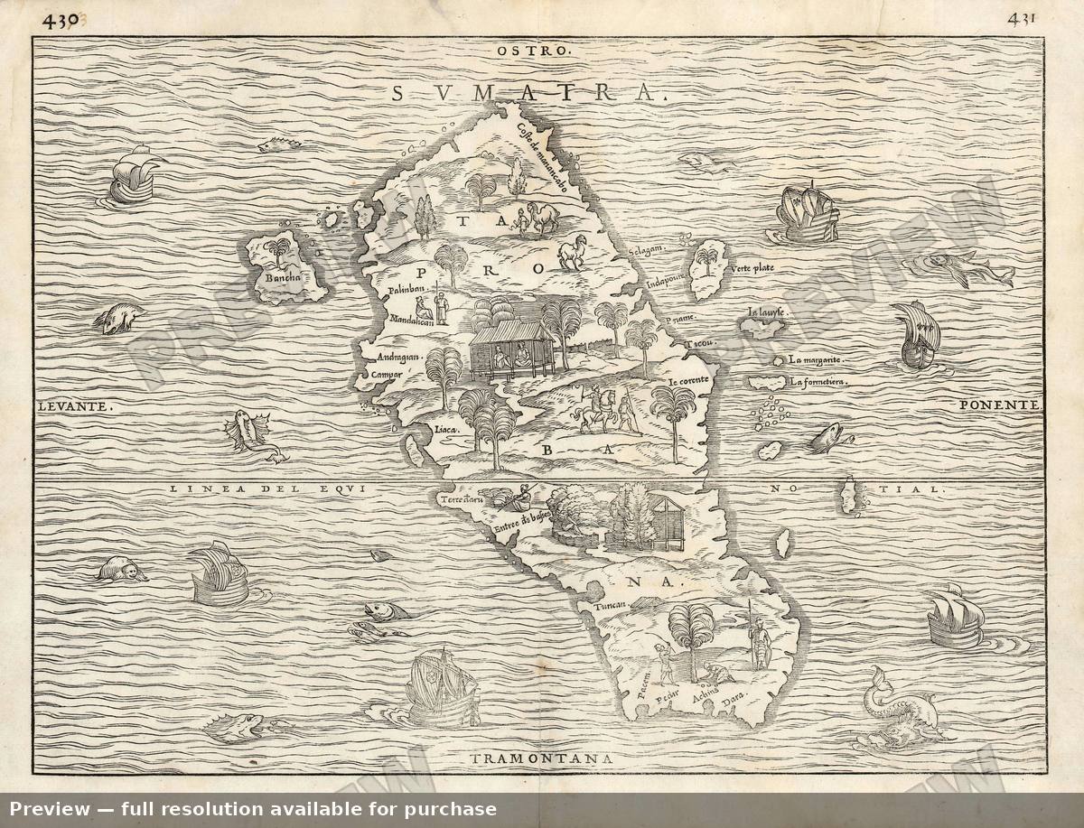 Antique map: Sumatra, 1556