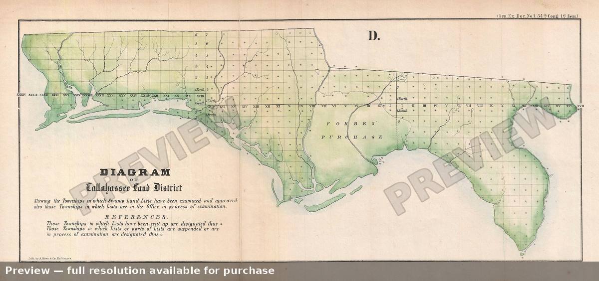 Antique map: Tallahassee Land District Florida, 1855, 1855