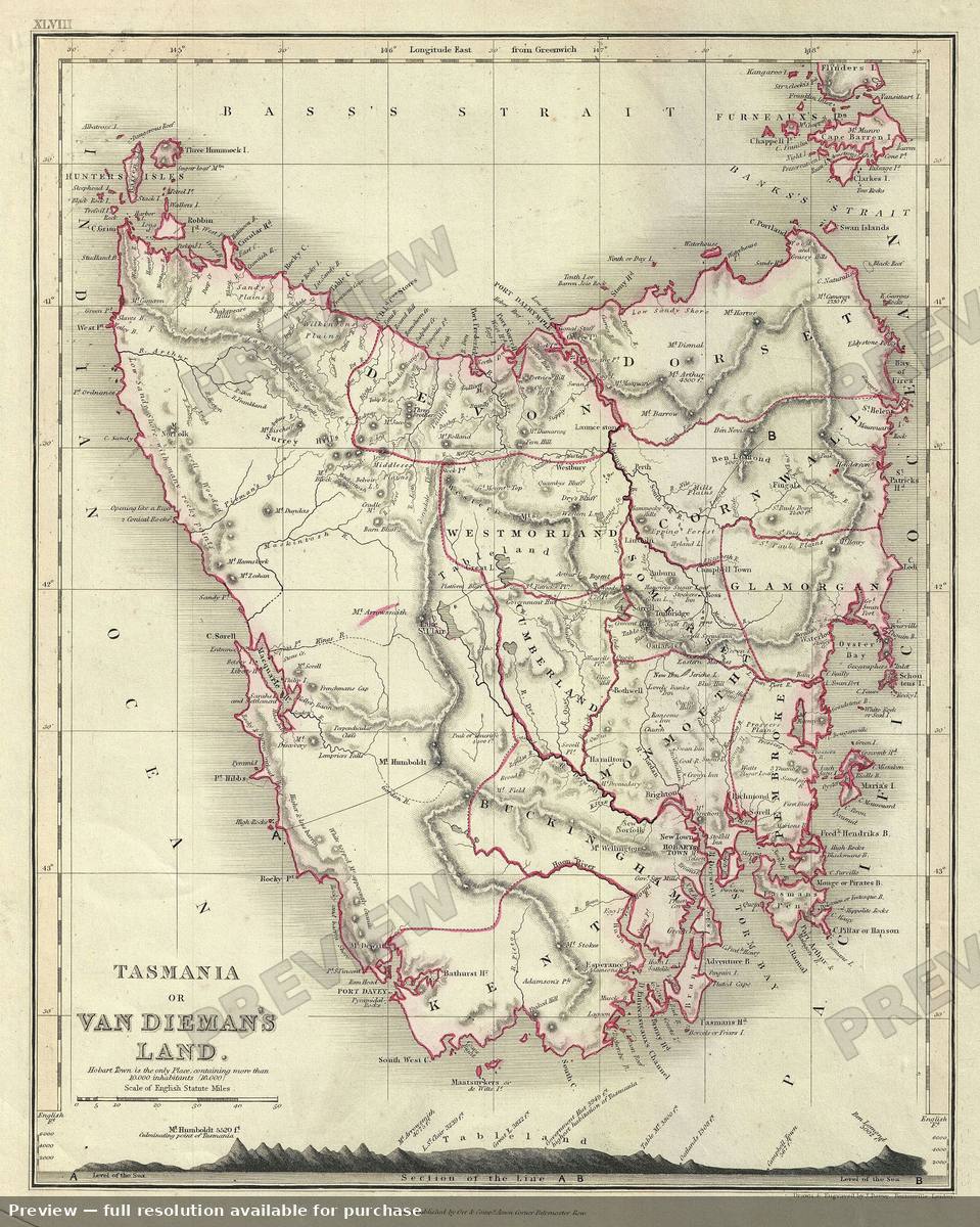 Antique map: Tasmania, 1860, 1860