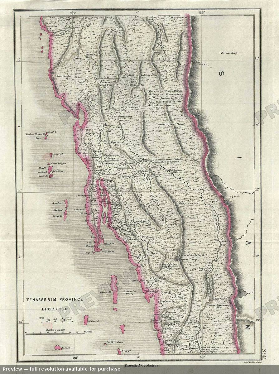 Antique map: Tavoy, 1854, 1854