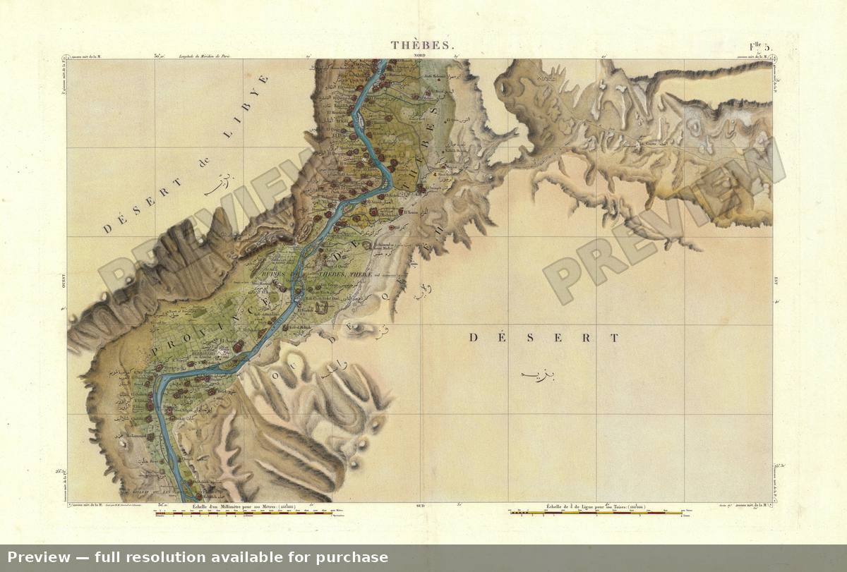 Antique map: Thebes Luxor, 1817, 1817