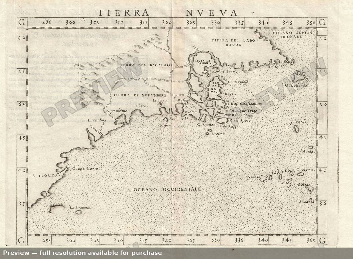 Antique map: Tierra Nveva, 1561