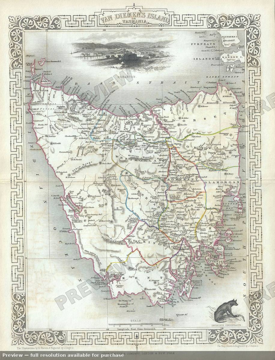 Antique map: Van Diemens Island, 1851