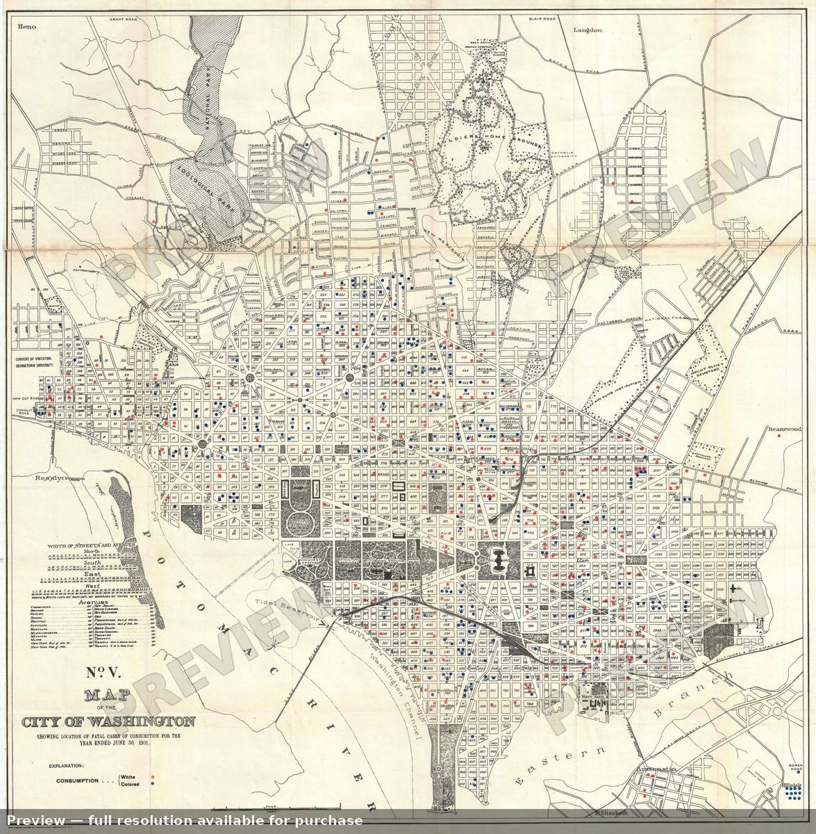Antique map: Washington DC Consumption, 1901