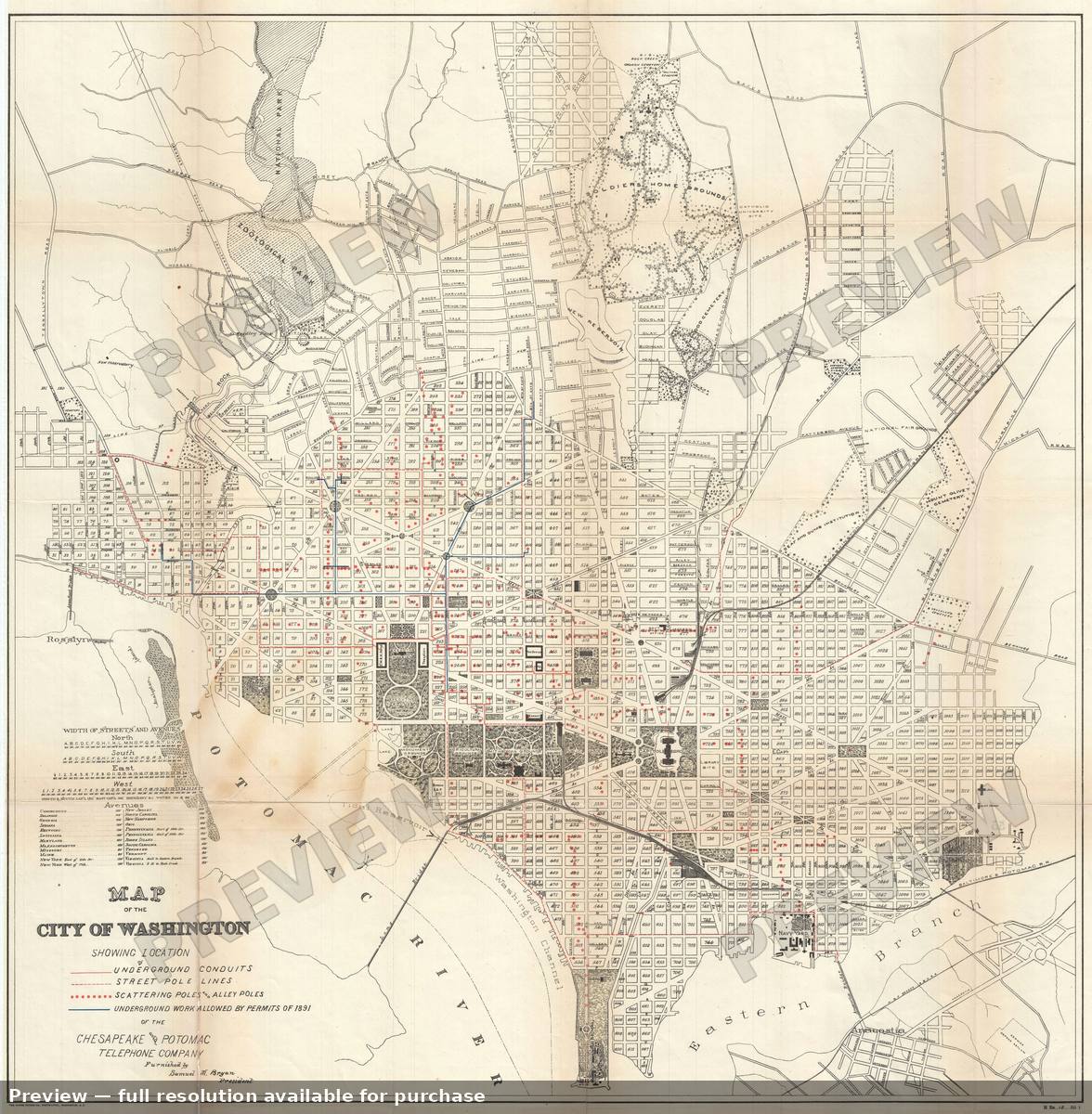 Antique map: Washington DC Telephone, 1891, 1891