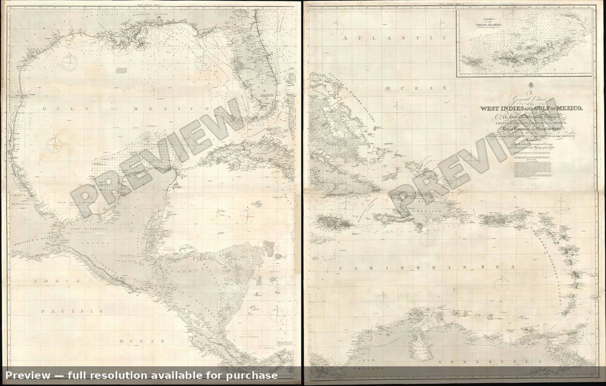 Antique map: West Indies Gulf, 1875