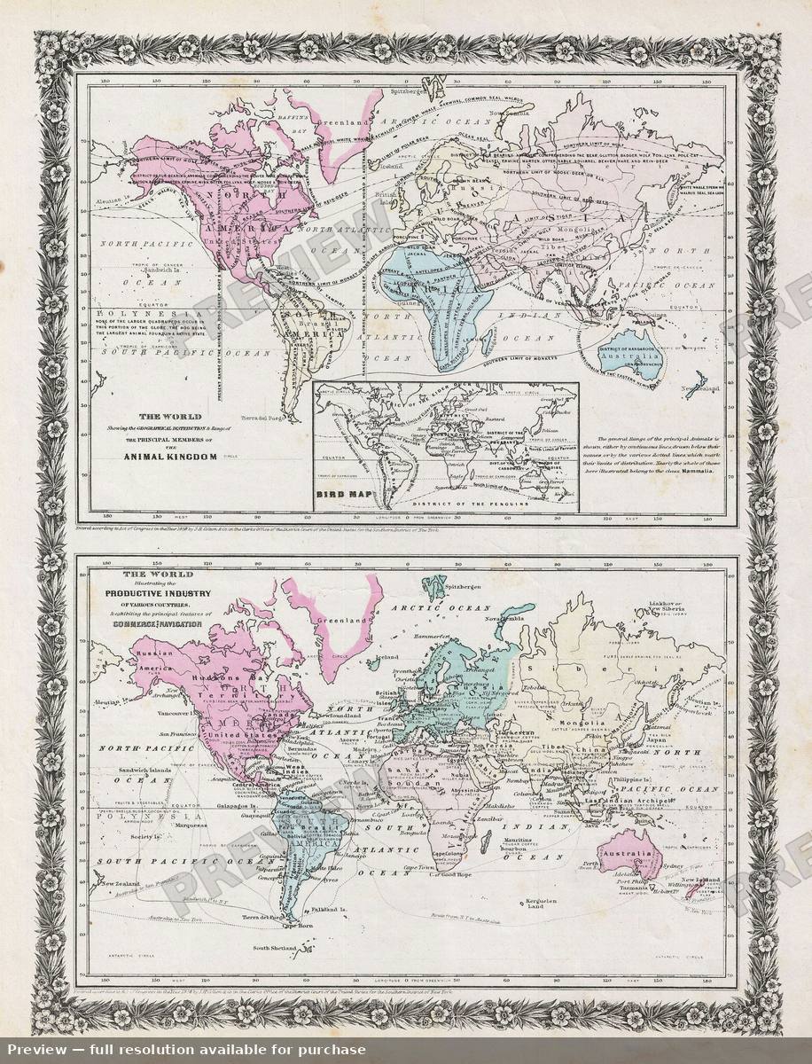 Antique map: World, 1859, 1859