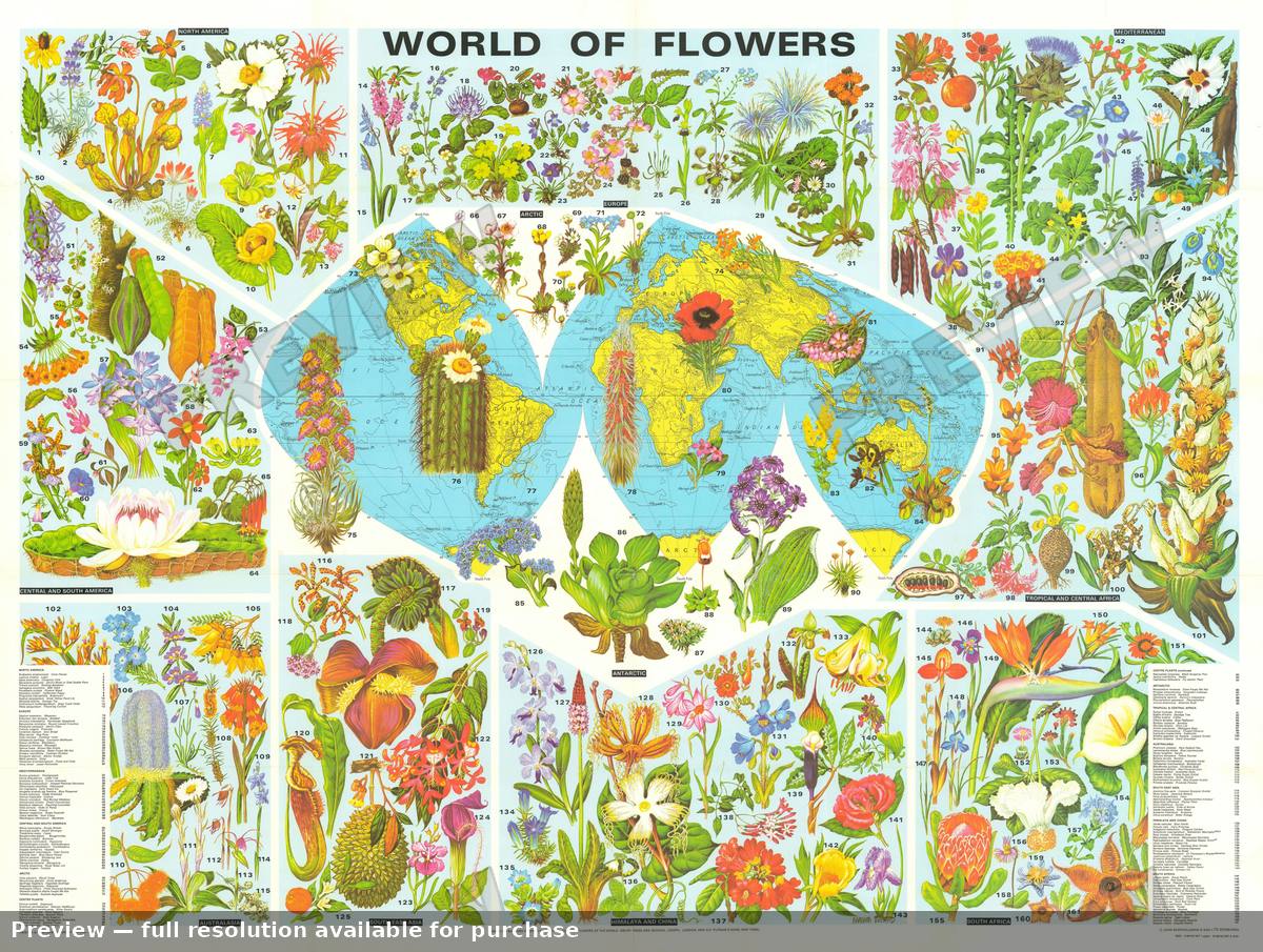 Antique map: World Flowers, 1972, 1972
