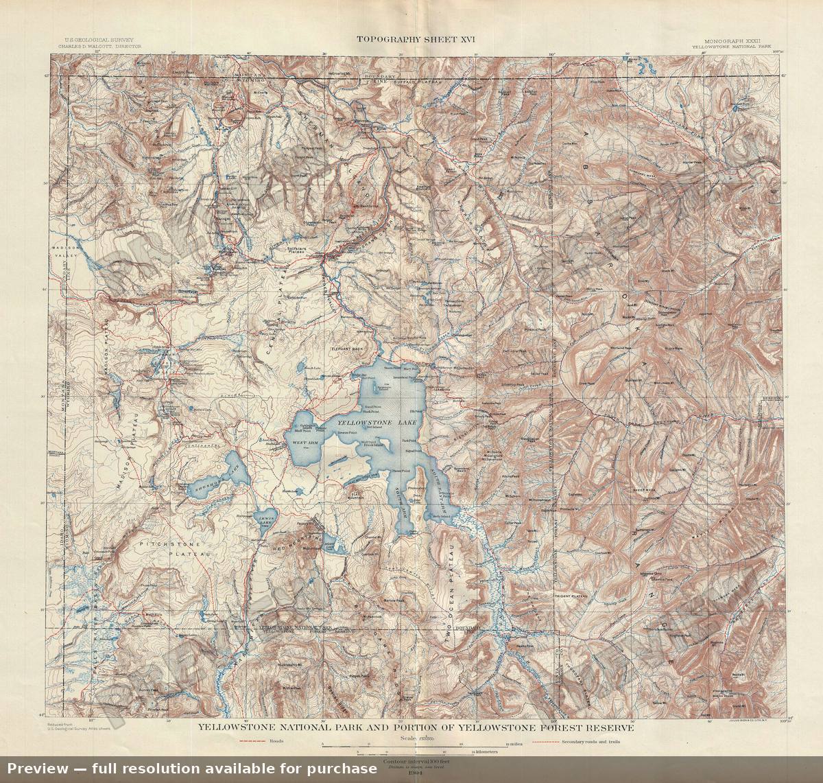Antique map: Yellowstone Park Forest T, 1904