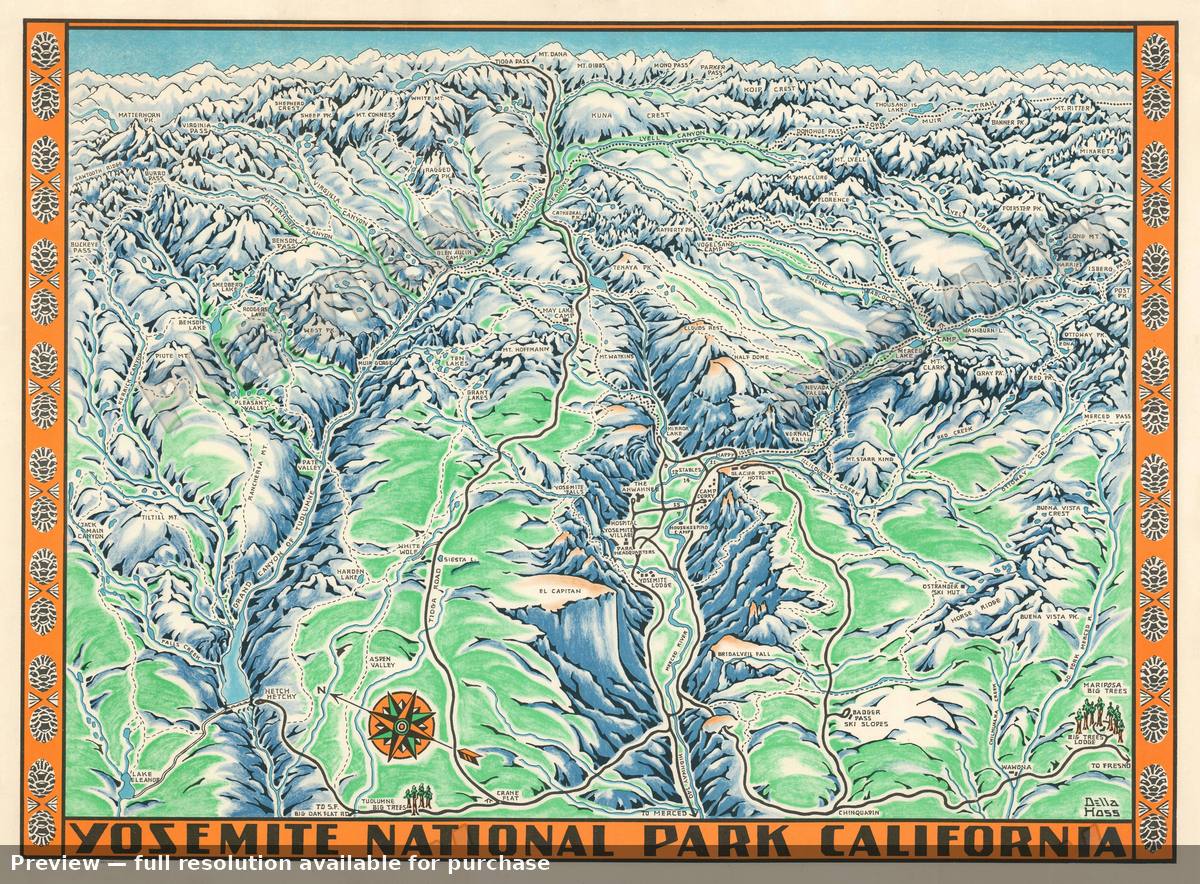 Antique map: Yosemite, 1955, 1955