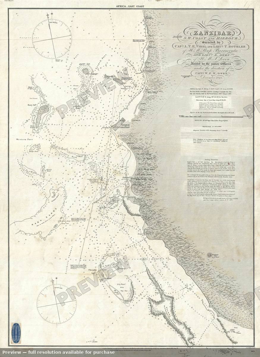 Antique map: Zanzibar, 1873, 1873