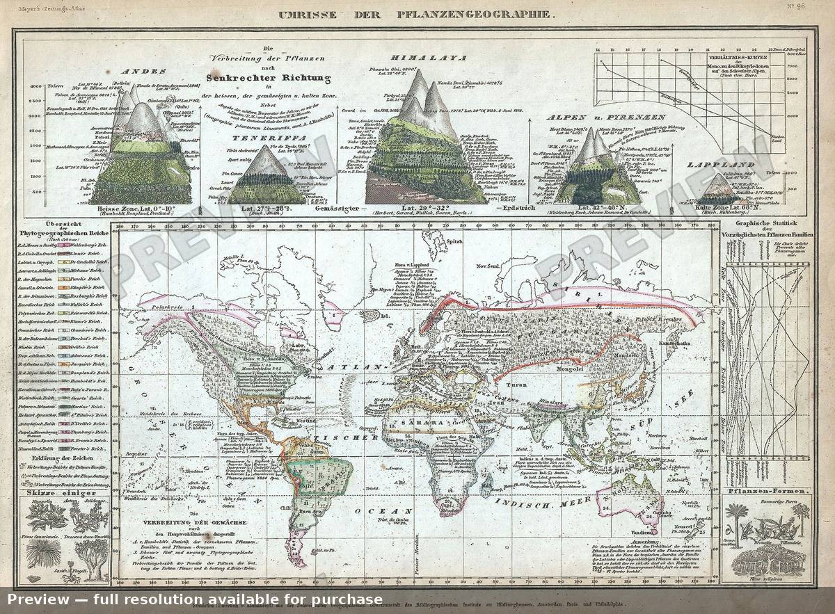 Antique map: pflanzengeographie, 1852